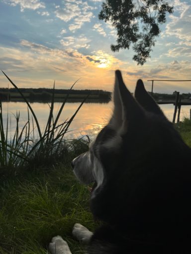 Unsere Elbe, unsere Wohlfühlzone